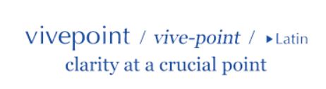 VivePoint Meaning